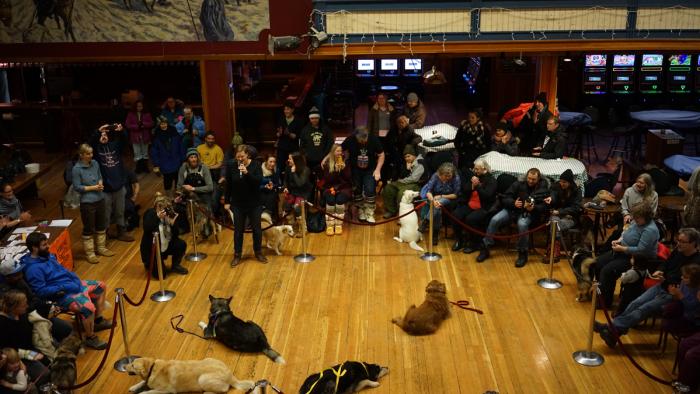 Spectacle de chiens chez Ghertie's.
